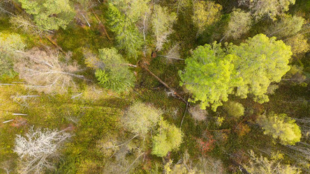 Similar image 22207259