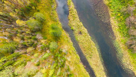 Similar image 22207266