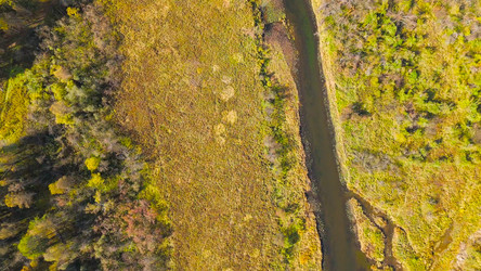 Similar image 22207282