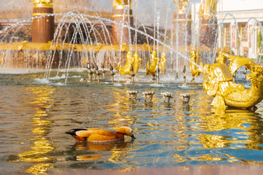 Similar image 22207289