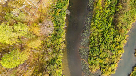 Similar image 22207293