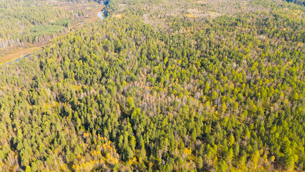 Similar image 22207296