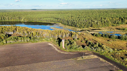 Similar image 22207302