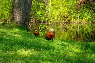 Similar image 22207308