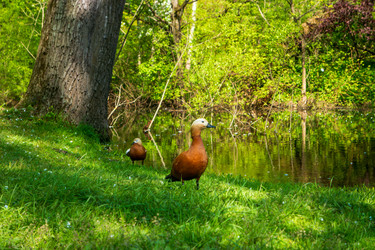 Similar image 22207310