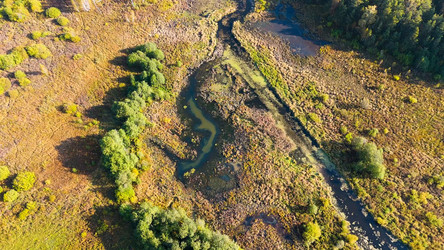 Similar image 22207311