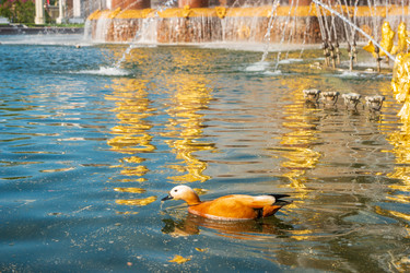 Similar image 22207328