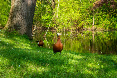 Similar image 22207333