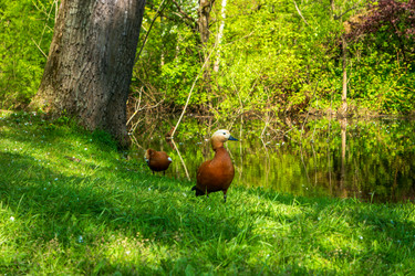 Similar image 22207334