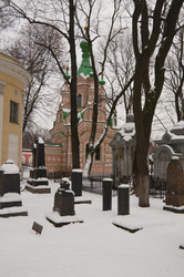 Similar image 22206602