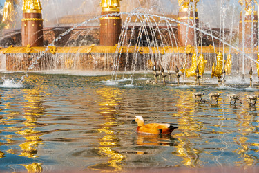 Similar image 22207338