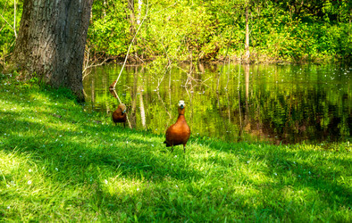 Similar image 22207351