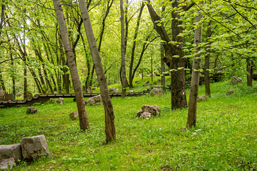 Similar image 22207357