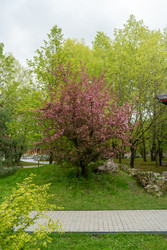 Similar image 22207366