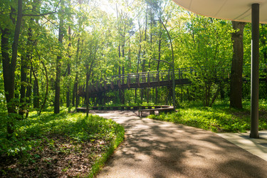 Similar image 22207373