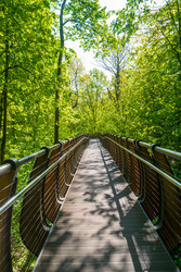 Similar image 22207376