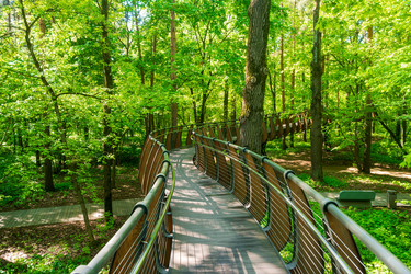 Similar image 22207377