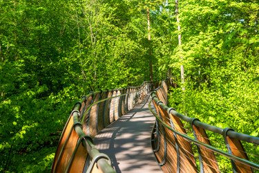 Similar image 22207379