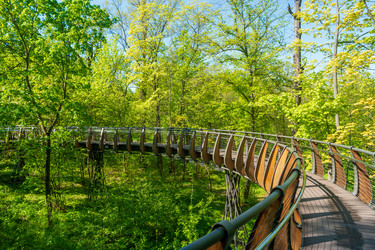 Similar image 22207384