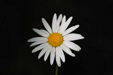 Similar image 22208559