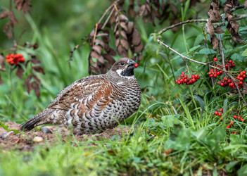 Similar image 22206548