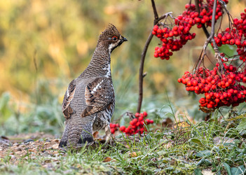 Similar image 22206550