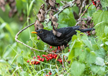 Similar image 22206551