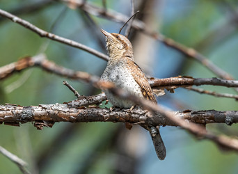 Similar image 22206552