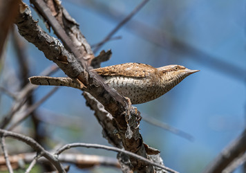 Similar image 22206553