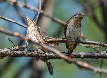 Similar image 22206554