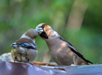 Similar image 22206555