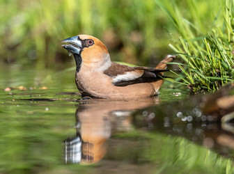 Similar image 22206556