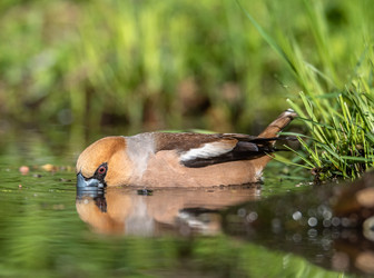 Similar image 22206557