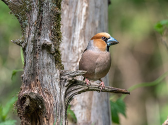 Similar image 22206653