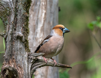 Similar image 22206654