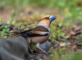 Similar image 22206655