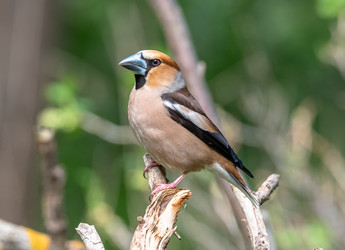 Similar image 22206656