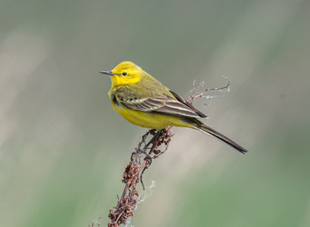 Similar image 22206657