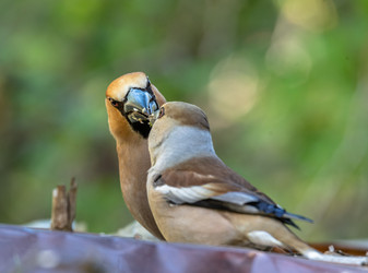 Similar image 22206658