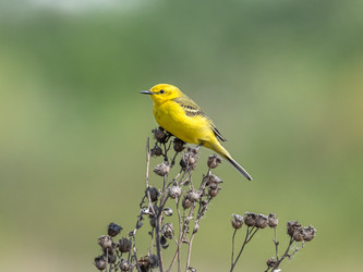 Similar image 22206659