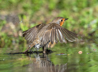 Similar image 22206660