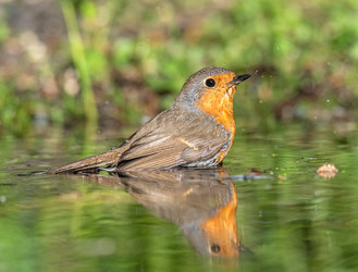 Similar image 22206661