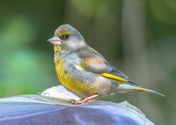 Similar image 22206662