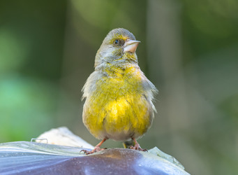 Similar image 22206663