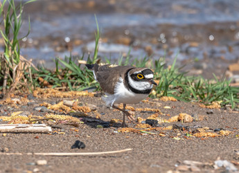 Similar image 22206664