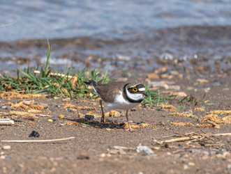 Similar image 22206665