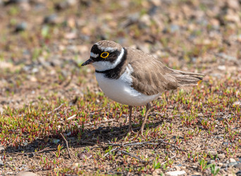 Similar image 22206558