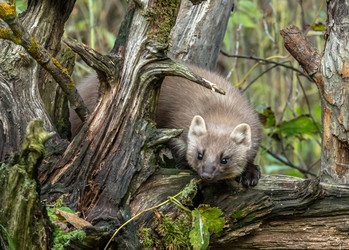 Similar image 22206559