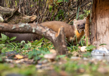 Similar image 22206561