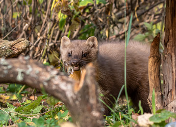 Similar image 22206562